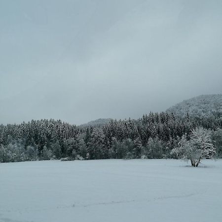 Schwarzwald Appartement 스타이넨 외부 사진
