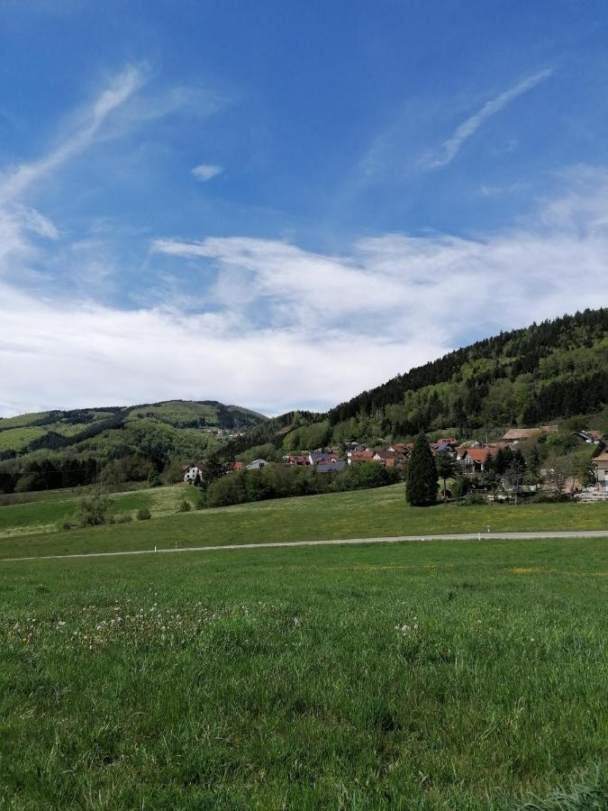 Schwarzwald Appartement 스타이넨 외부 사진