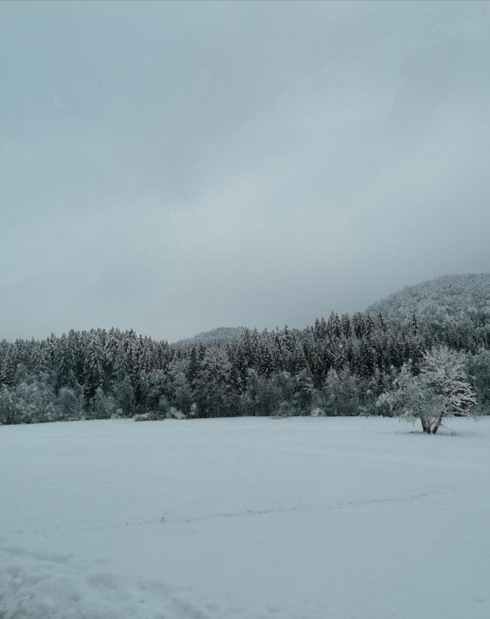 Schwarzwald Appartement 스타이넨 외부 사진