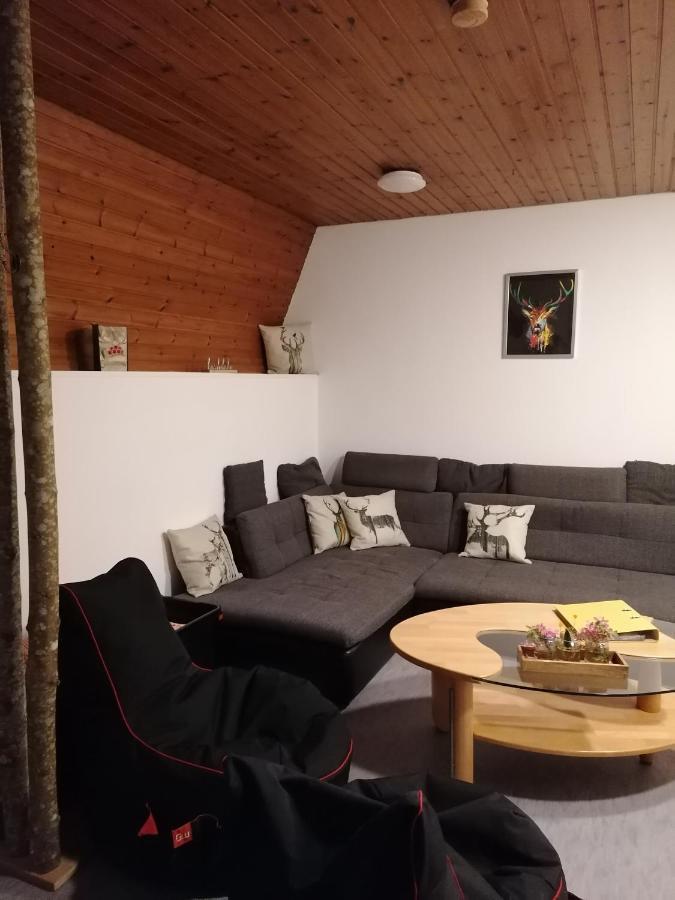 Schwarzwald Appartement 스타이넨 외부 사진