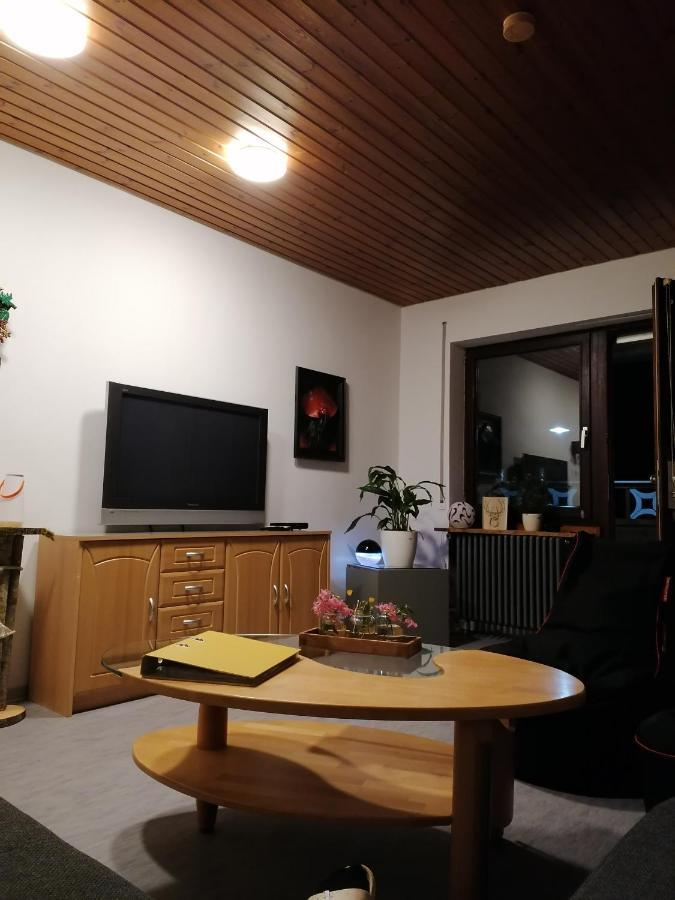 Schwarzwald Appartement 스타이넨 외부 사진